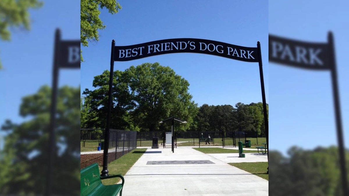 Historical Human Bone Found In Local North Carolina Dog Park