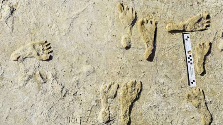 Oldest Human Footprints in North America Found in New Mexico