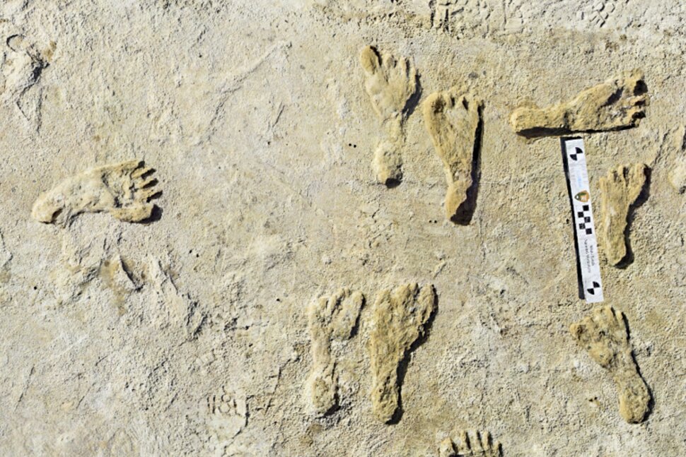 Oldest Human Footprints in North America Found in New Mexico