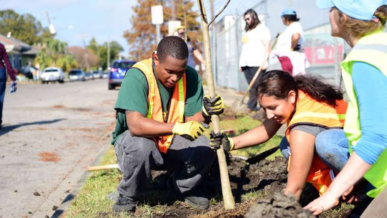 New Project set for Reforestation in Historic New Orleans Neighborhood