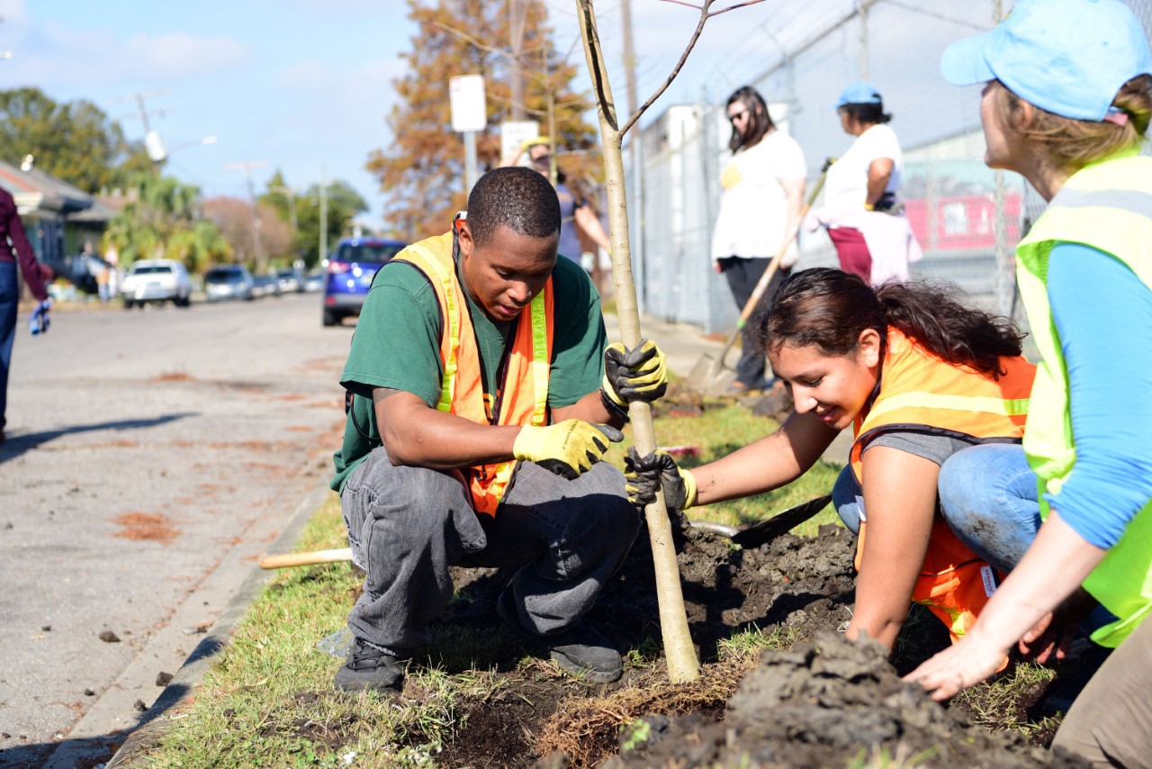 New Project set for Reforestation in Historic New Orleans Neighborhood