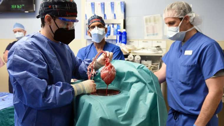 David Bennett Becomes First man ever to Receive a Heart from a Gene Edited Pig